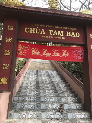Lối lên chùa Tam Bảo.