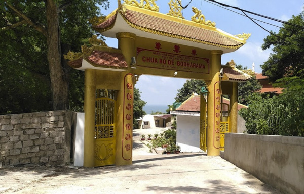 Cây bồ đề có tên khoa học là Ficus Religiosa. Theo các điển tích về Phật giáo, cây bồ đề đóng vai trò quan trọng trong cuộc đời của Đức Phật. Đức Phật đã ngồi thiền định dưới gốc cây bồ đề và từng bước giác ngộ được các giáo lý của Phật giáo. Vì vậy, cây bồ đề được trồng khắp nơi trên thế giới và tượng trưng cho may mắn.