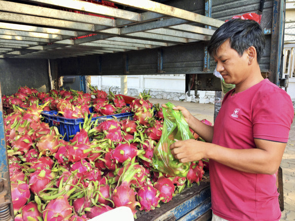Thanh long được bày bán trên đường Nguyễn An Ninh, TP.Vũng Tàu.
