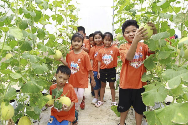 Du khách nhí thích thú trải nghiệm tại nông trại công nghệ cao Green Farm (xã Láng Lớn, huyện Châu Đức). Ảnh: QUANG VŨ.