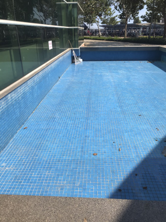 Hồ nước tại Bệnh viện Bà Rịa sau khi được súc rửa. Ảnh: TƯỜNG VI 