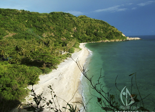 Bãi biển Hòn Cau (huyện Côn Đảo).
