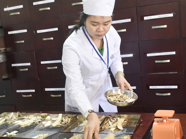 Một số vị thuốc dân gian có tác dụng giảm mỡ máu như tỏi, nghệ, ngu tất, lá sen...  Trong ảnh: Bác sĩ Bệnh viện Y học cổ truyền tỉnh bốc thuốc thang điều trị cho bệnh nhân.