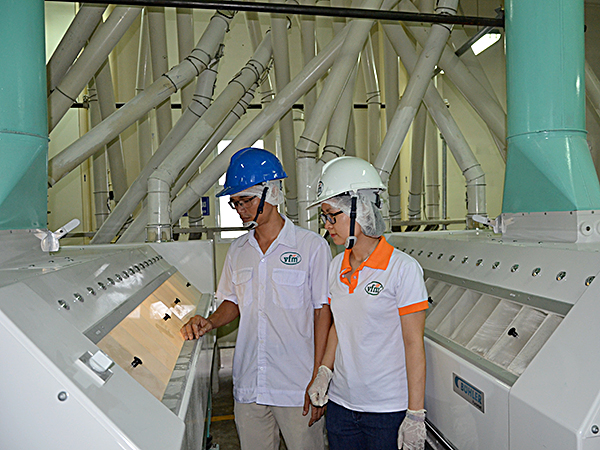 Do ảnh hưởng của dịch bệnh nên trong quý I/2020, tình hình kinh tế của tỉnh tăng trưởng chậm. Trong ảnh: Sản xuất lúa mì tại Công ty TNHH Xay lúa mì Việt Nam (TX. Phú Mỹ).