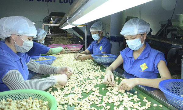 Công ty TNHH Thảo Nguyên là 1 trong 9 đơn vị được xét duyệt hỗ trợ trong đợt này.