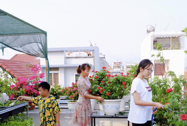 Gia đình cô Hải chăm tưới rau trên sân thượng nhà.