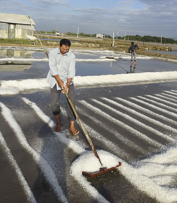 Diêm dân xã An Ngãi, huyện Long Điền  thu hoạch muối. Ảnh: QUANG VINH