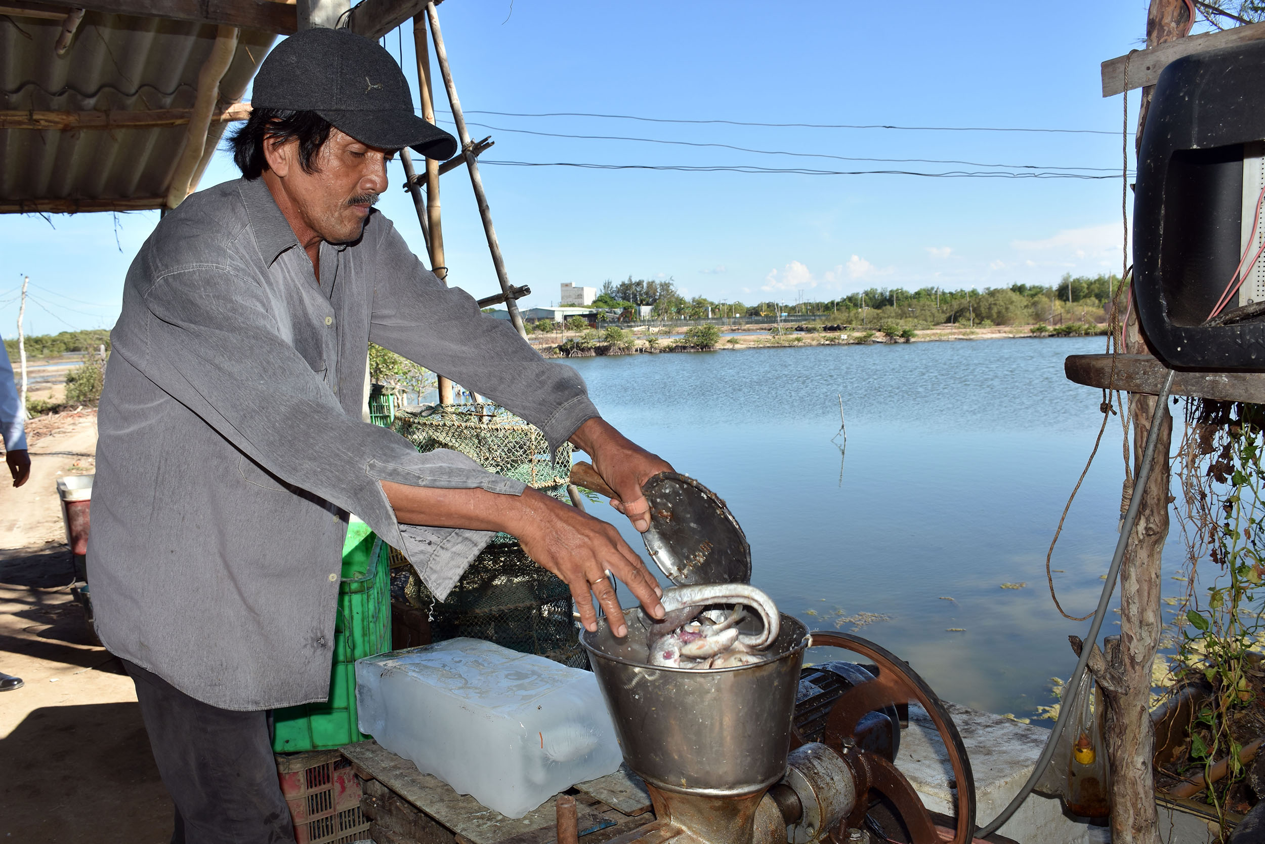 Dịch COVID 19 đã làm nhiều người nuôi tôm lao đao.  Trong ảnh: Ông Trần Đức Thành (xã Lộc An, huyện Đất Đỏ), chuẩn bị thức ăn cho tôm.