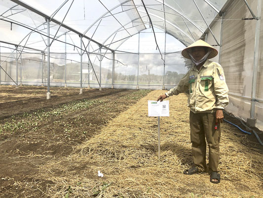 Hệ thống nhà mang của gia đình ông Nguyễn Văn Tuy (thôn Tân Hà, xã Châu Pha, TX Phú Mỹ) đã hoàn thành và đi vào sản xuất từ tháng 5.