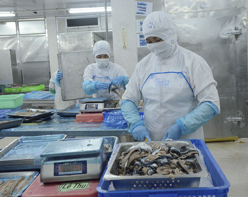 Khi Hiệp định EVFTA có hiệu lực, các mặt hàng thế mạnh của tỉnh như dệt may, thủy sản, da giày… sẽ có nhiều cơ hội để mở rộng thị trường vào EU. Trong ảnh: Chế biến thủy sản xuất khẩu tại xưởng của Công ty Baseafood.