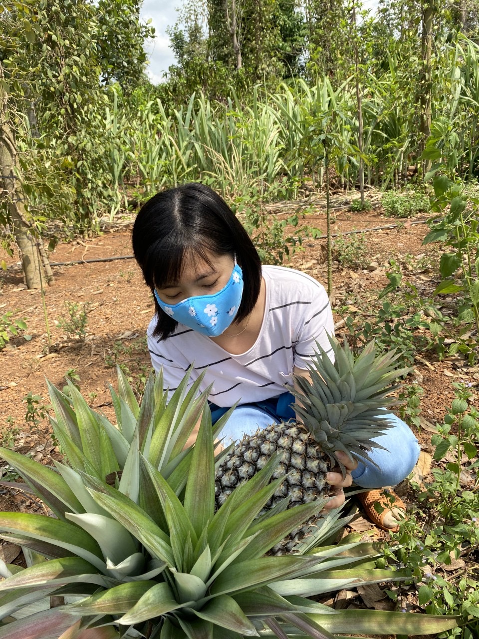 Chị Trần Thị Hằng trong một lần về quê thu gom nông sản sạch.