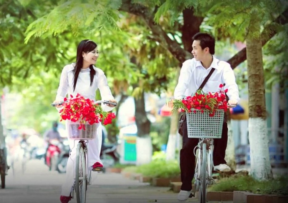 “Trên chiếc giỏ xe chở đầy hoa phượng”.