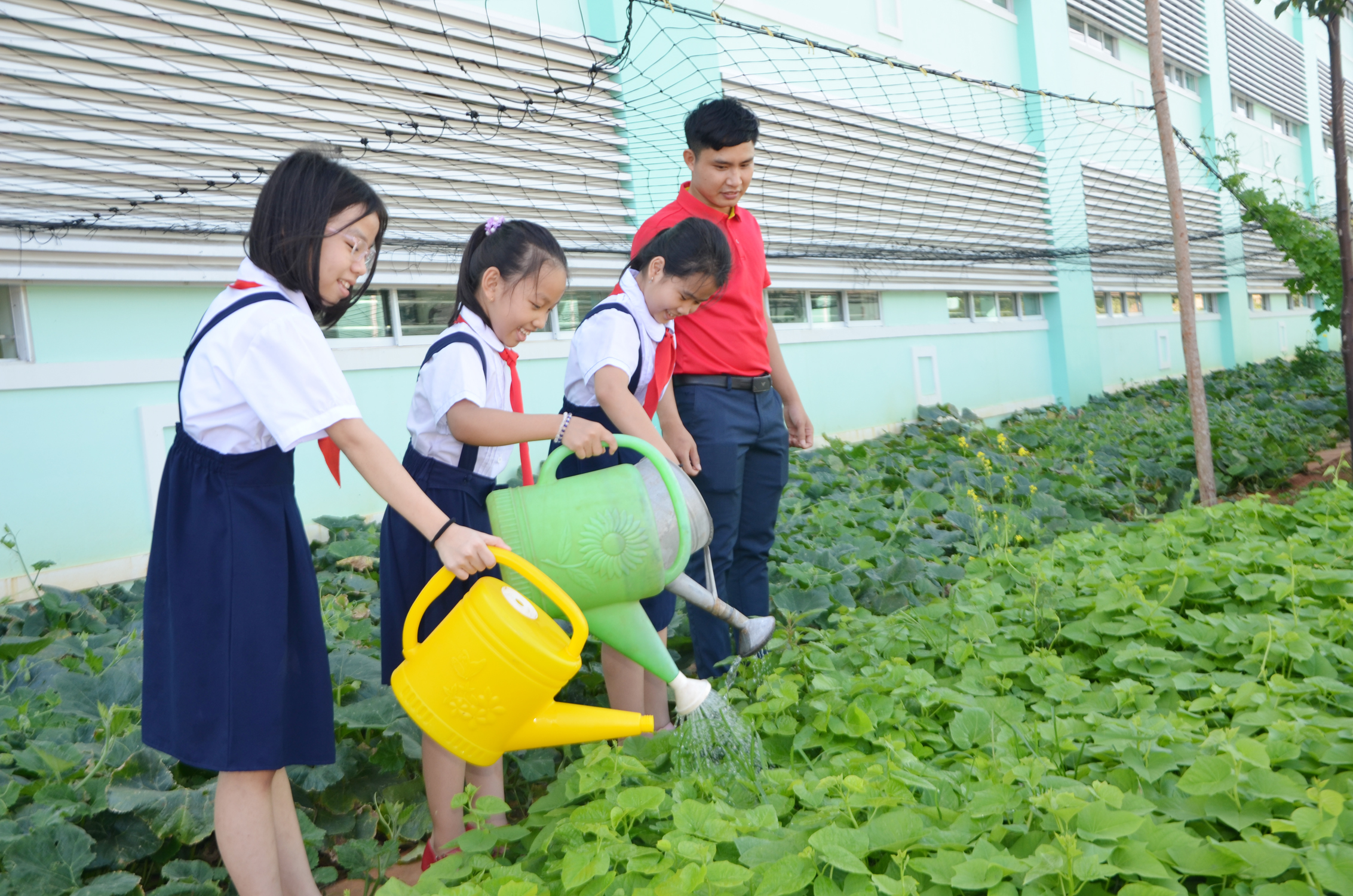 Các em HS Trường TH Phước An cùng chăm sóc, tưới nước cho rau trong vườn trường.