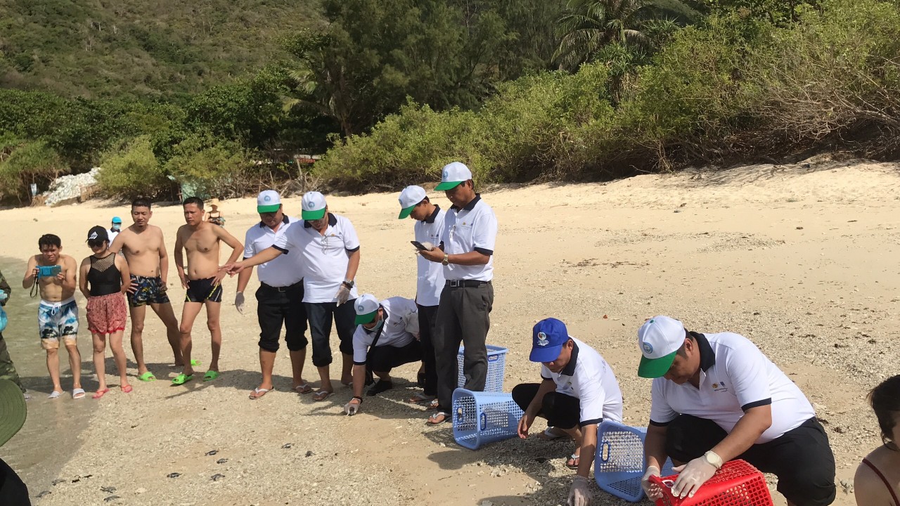 Các đại biểu cùng thả rùa con về biển trước sự chứng kiến của du khách trên hòn Bảy Cạnh.