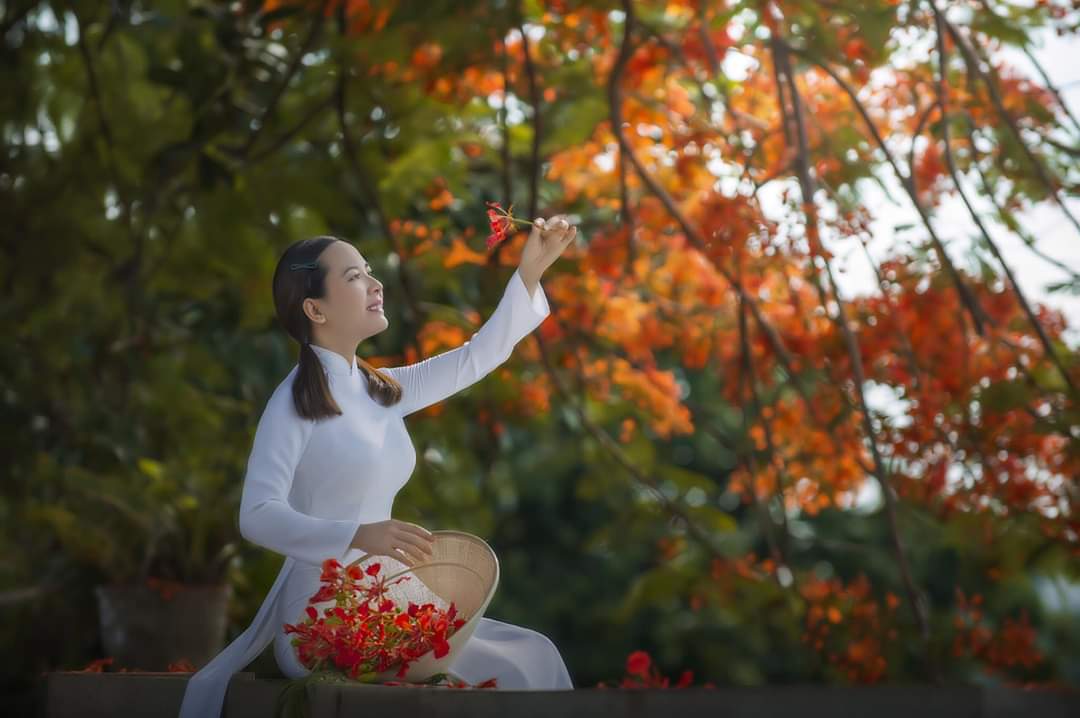 Hạ về. Ảnh: THÙY LINH