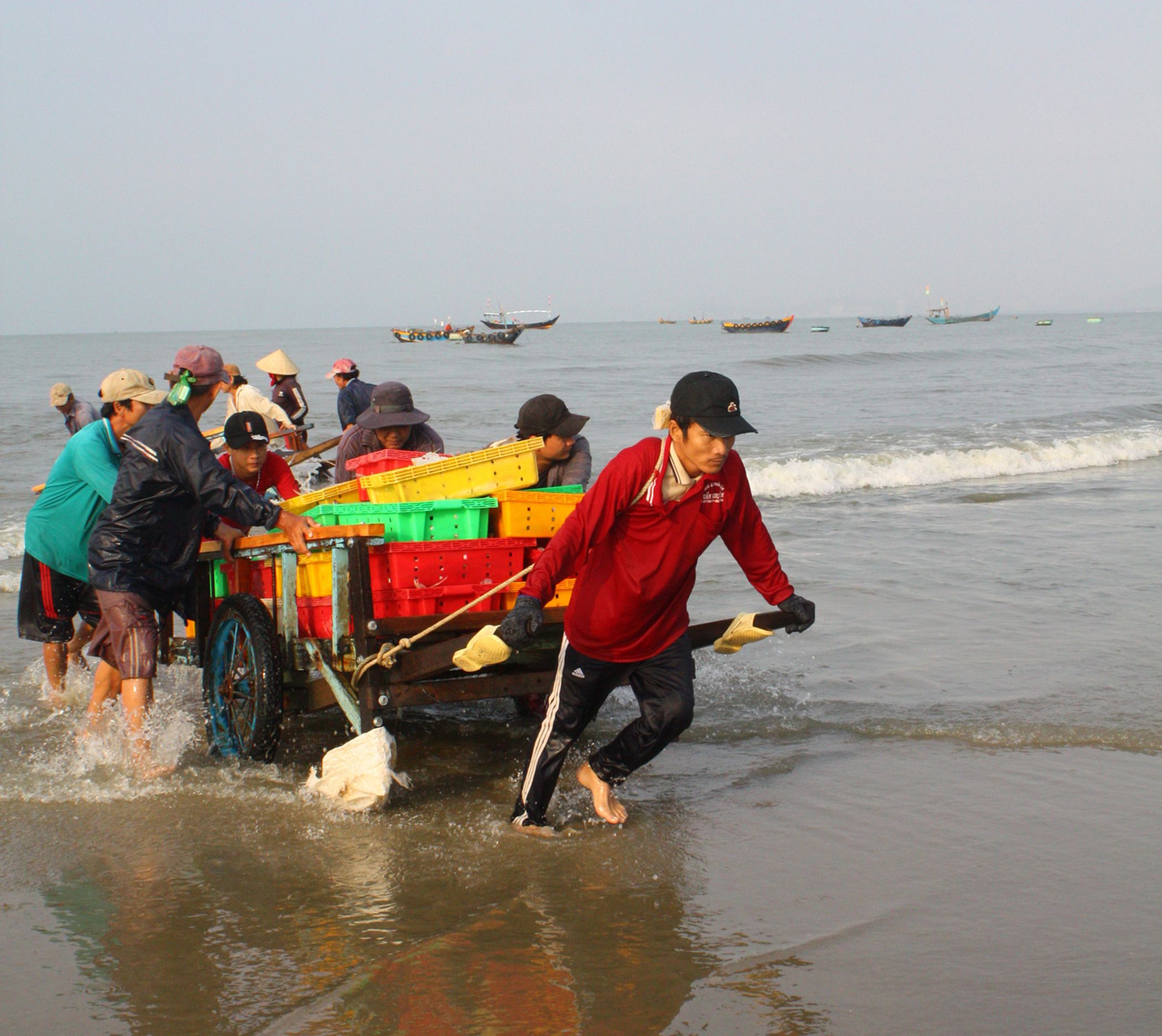 Việc gỡ thẻ vàng nhằm hướng tới phát triển bền vững ngành hải sản. Trong ảnh: Ngư dân thị trấn Long Hải (huyện Long Điền) vận chuyển cá vào bờ sau chuyến biển.