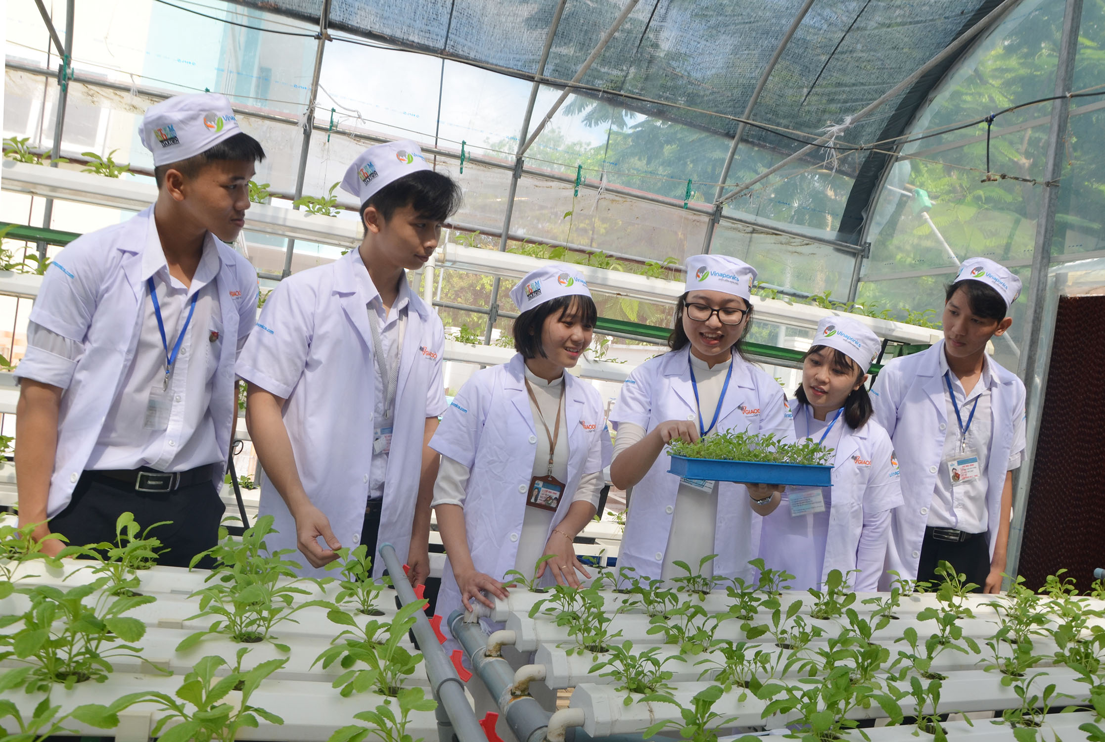 Lê Nguyễn Huyền Trân, lớp 12C (thứ 3 từ phải qua) thuyết trình về việc trồng rau thủy canh  bằng tiếng Anh với các bạn trong CLB tiếng Anh của trường.