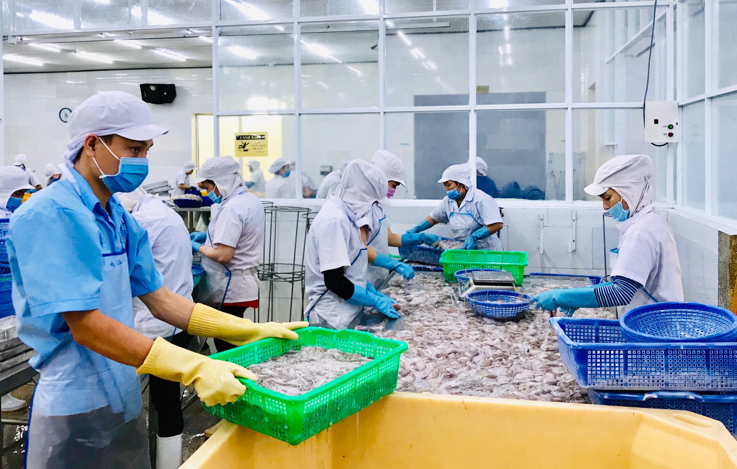 Do ảnh hưởng của dịch bệnh, nhiều lĩnh vực không đạt chỉ tiêu kế hoạch đề ra.  Trong ảnh: Sản xuất và chế biến hải sản đông lạnh tại Công ty TNHH Hải Phú (xã An Ngãi, huyện Long Điền).