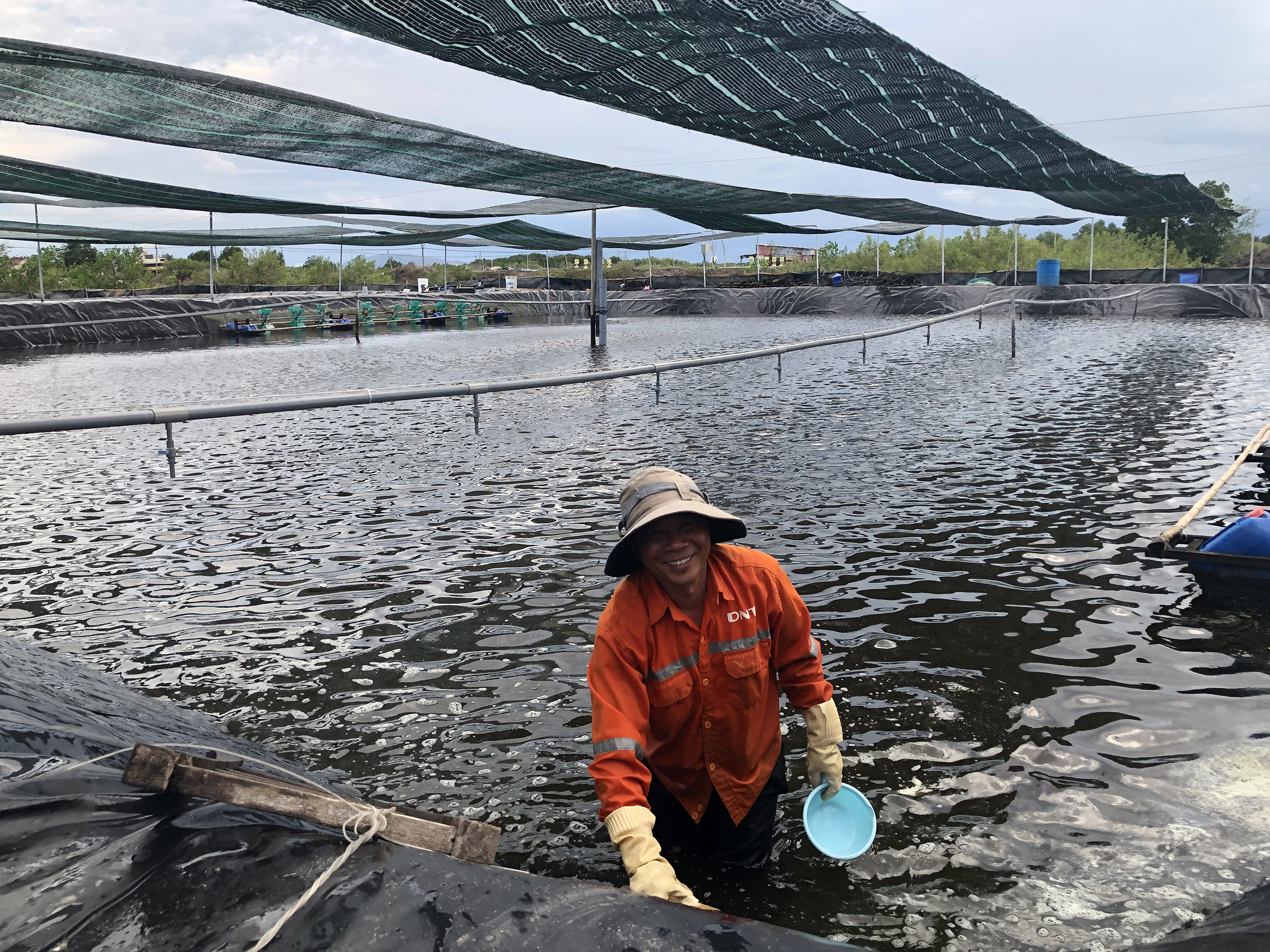 Công nhân trại tôm của gia đình ông Lê Quang Hùng, KP 4, phường 12 xử lý ao nuôi trước khi thả giống.