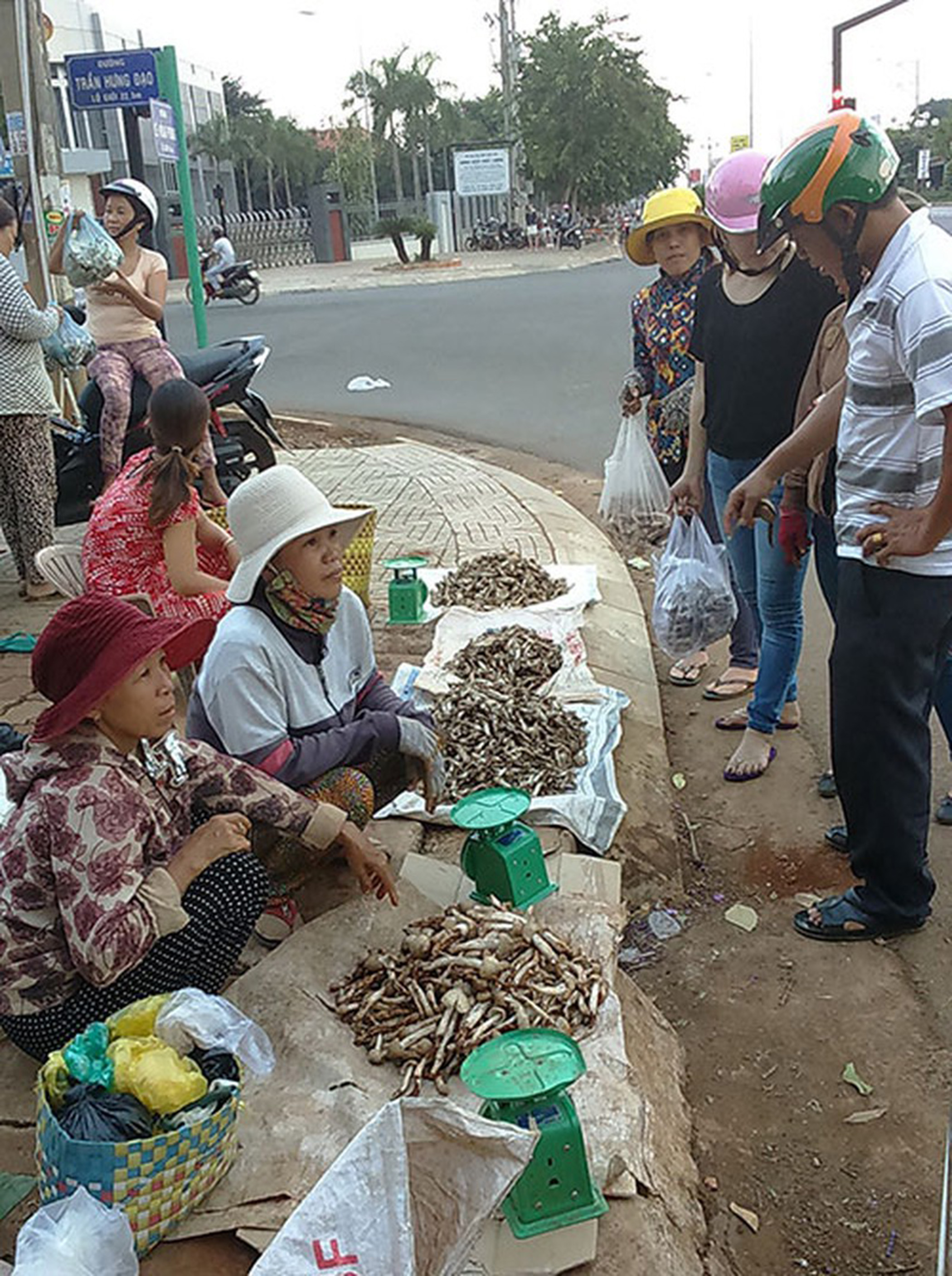 Nấm mối được bán tại thị trấn Ngãi Giao (huyện Châu Đức).