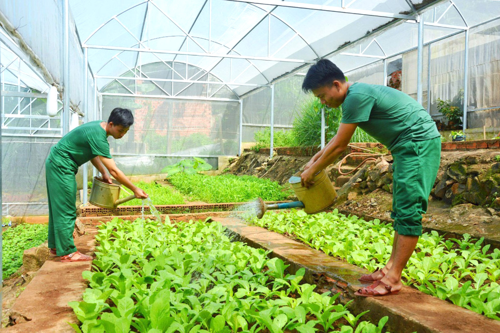 Các chiến sĩ Đại đội Pháo phòng không 37 tăng gia sản xuất tại đơn vị.