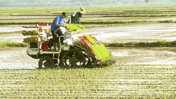 Nông dân huyện Long Điền áp dụng công nghệ 4.0 trong sản xuất nông nghiệp.