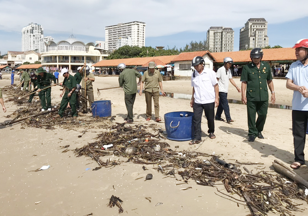 Rác dạt vào Bãi Sau chủ yếu là quả đước, củi mục.