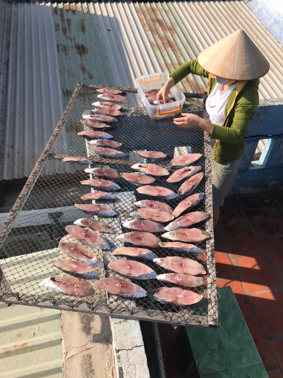 Cá thu tươi sau khi phơi dưới nắng to từ 5-7 giờ đồng hồ sẽ thành cá thu một nắng.