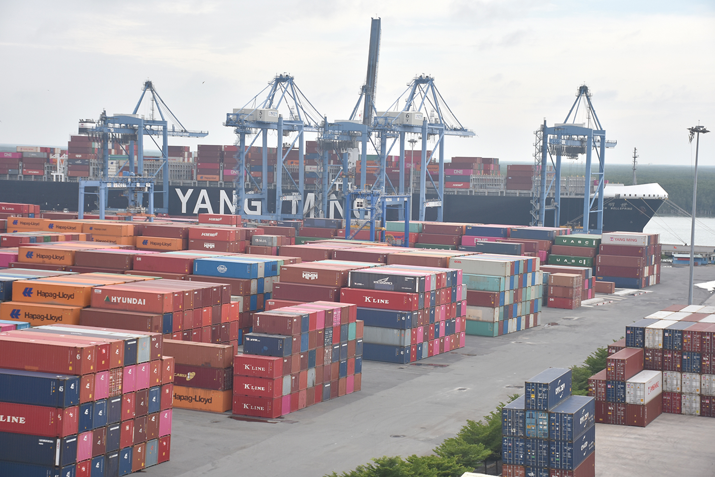 Bãi container của cảng TCIT.