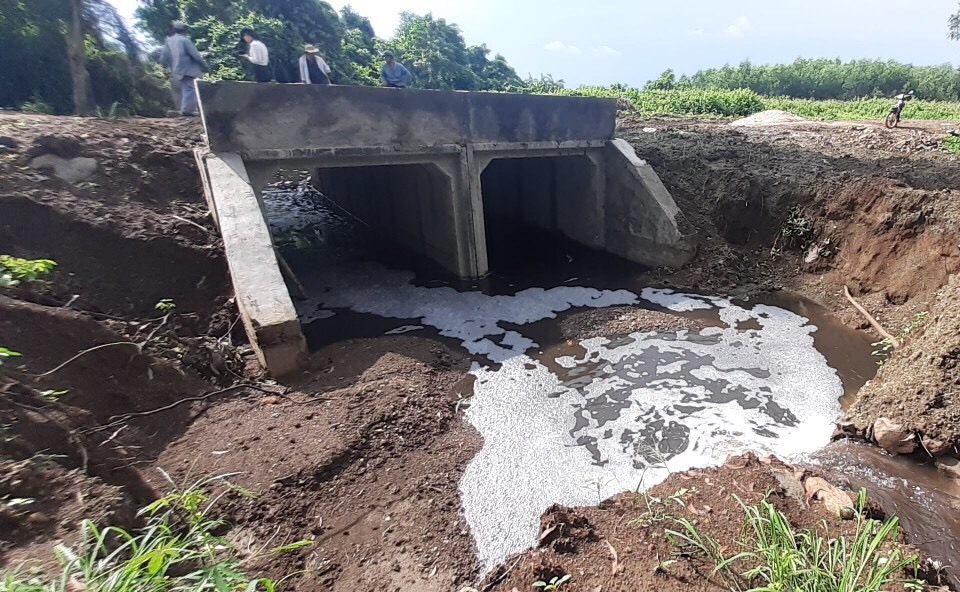 Nguồn nước suối Bà Tài (xã Bình Giã, huyện Châu Đức) khu vực quanh trại heo Hoa Anh Đào bị ô nhiễm nặng nề.