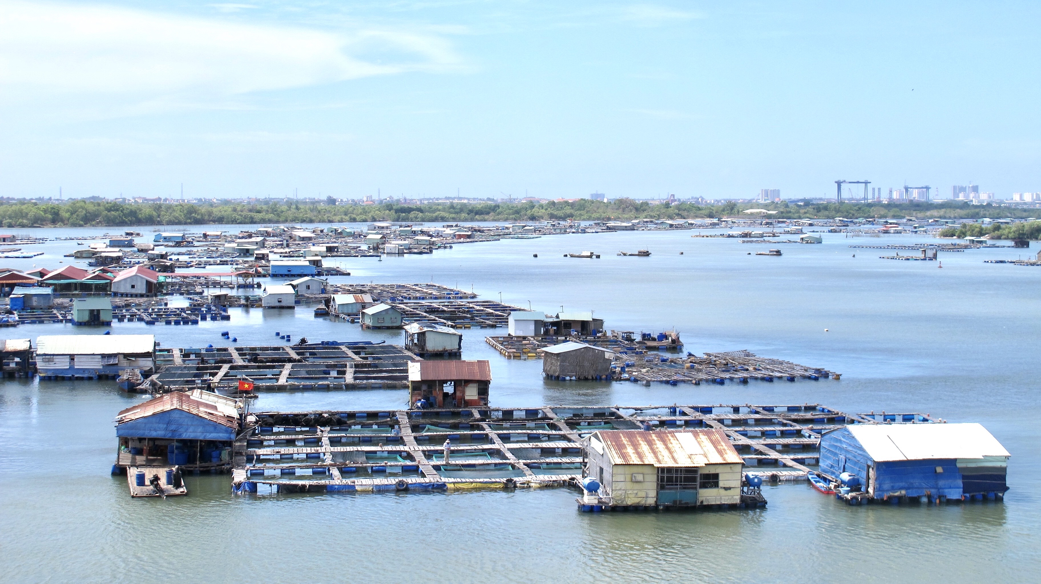 Một góc các lồng bè trên sông Chà Và sau khi đã được sắp xếp, quy hoạch.