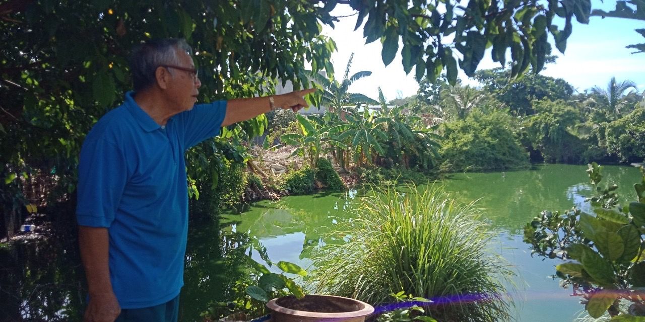 Khu đất của gia đình ông Dần nằm trong khu vực quy hoạch công trình công cộng tại phường Thắng Nhất, TP.Vũng Tàu.
