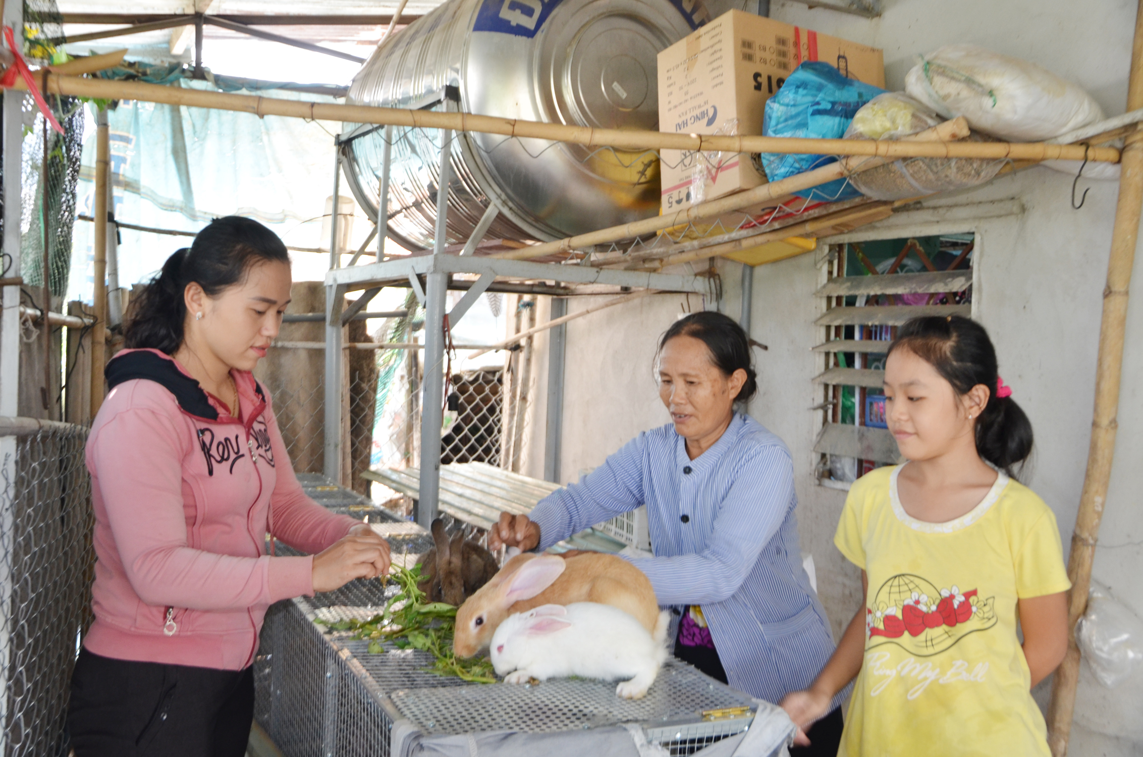 Bà Nguyễn Thị Năm (giữa) bên đàn thỏ được trao tặng làm kế sinh nhai.