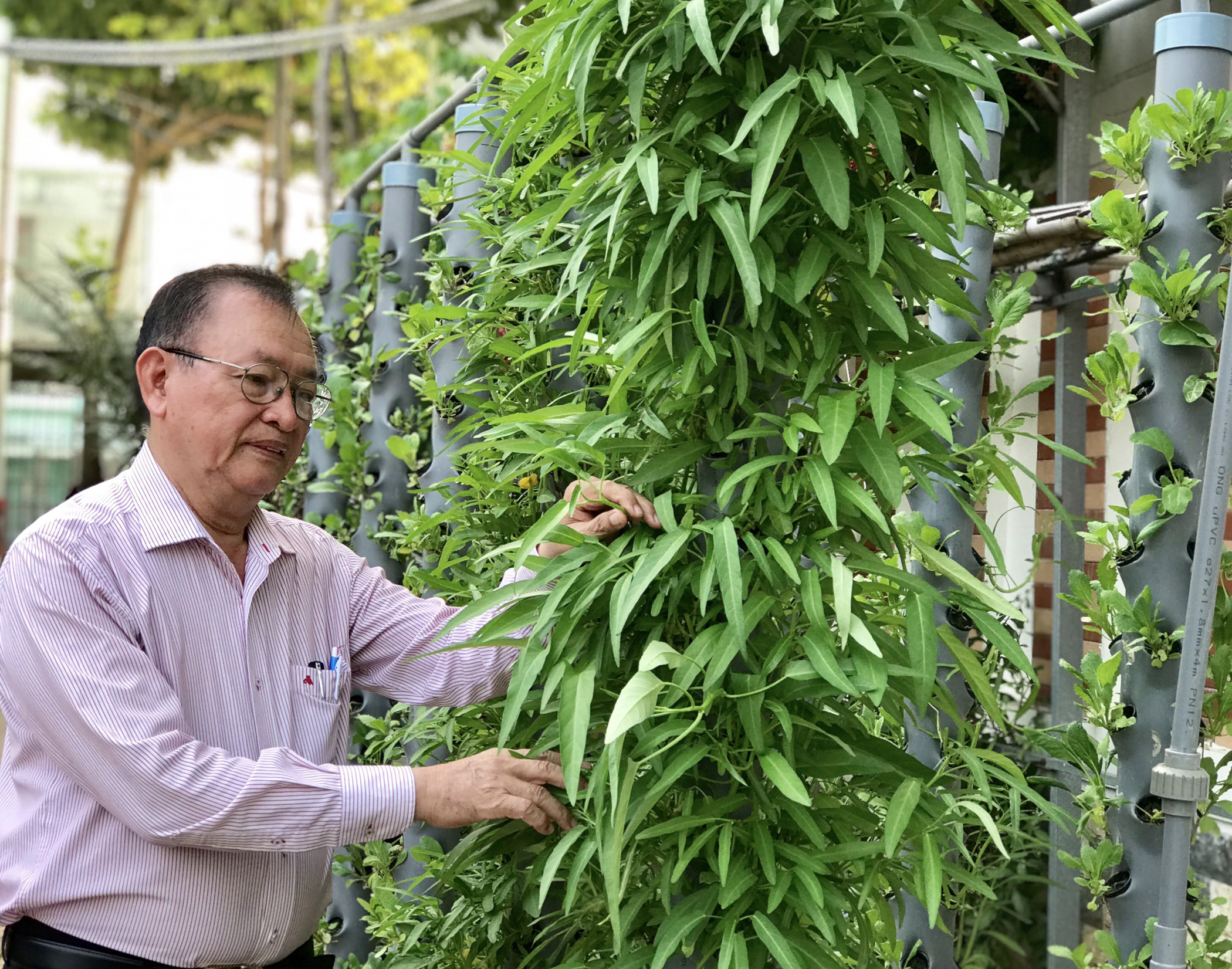 Nông nghiệp công nghệ cao là một trong những lĩnh vực được đề xuất trong nhiệm vụ KH-CN năm 2021. Trong ảnh: Một hộ dân TP. Vũng Tàu trồng rau bằng khí trụ.