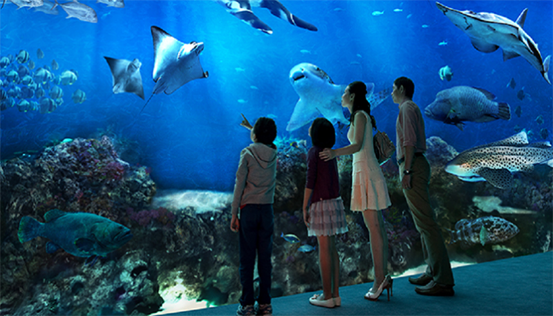 SEA Aquarium là một trong những thủy cung hoành tráng nhất châu Á.