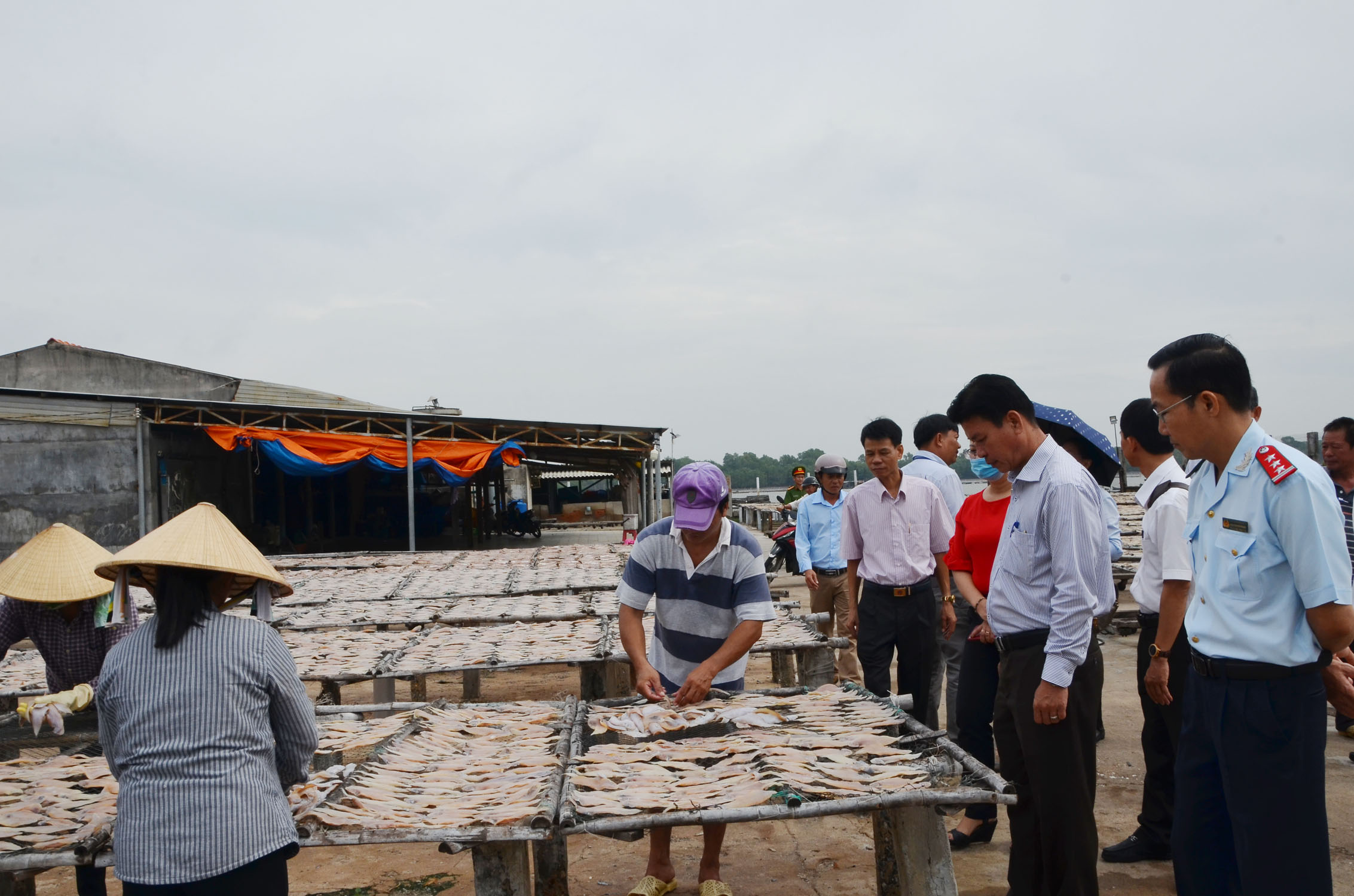 Đoàn Giám sát tại DNTN Bình Thanh (xã Phước Tỉnh, huyện Long Điền).