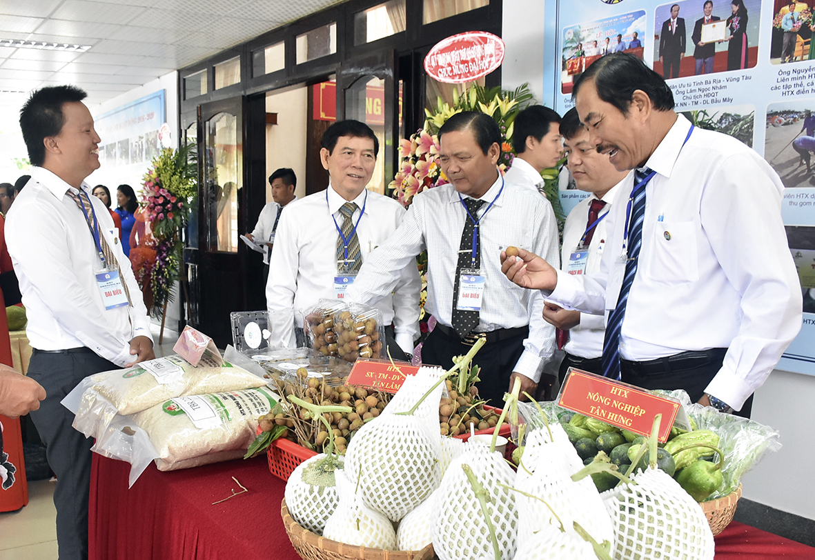 Các đại biểu dự Đại hội tham quan triển lãm sản phẩm của các HTX.