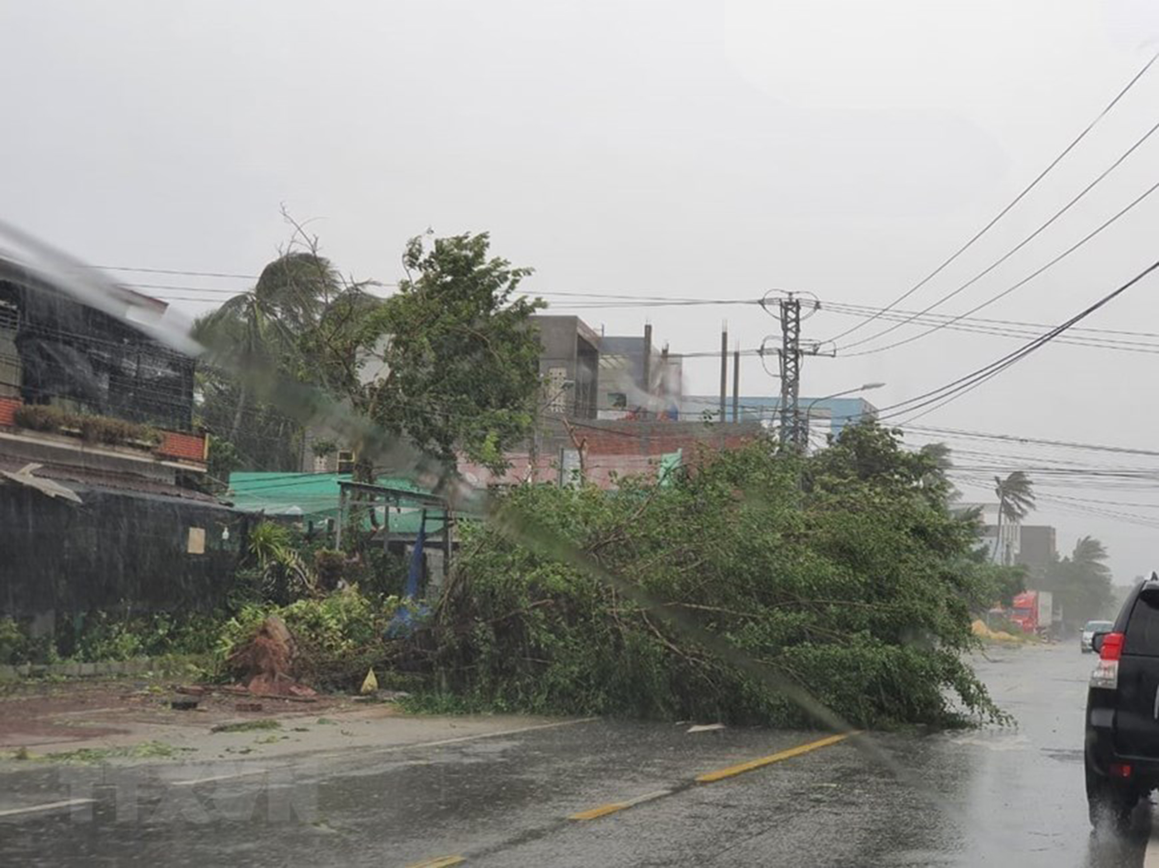Cây xanh bị bật gốc, ngã đổ tại thị xã Hoài Nhơn. Ảnh: TTXVN