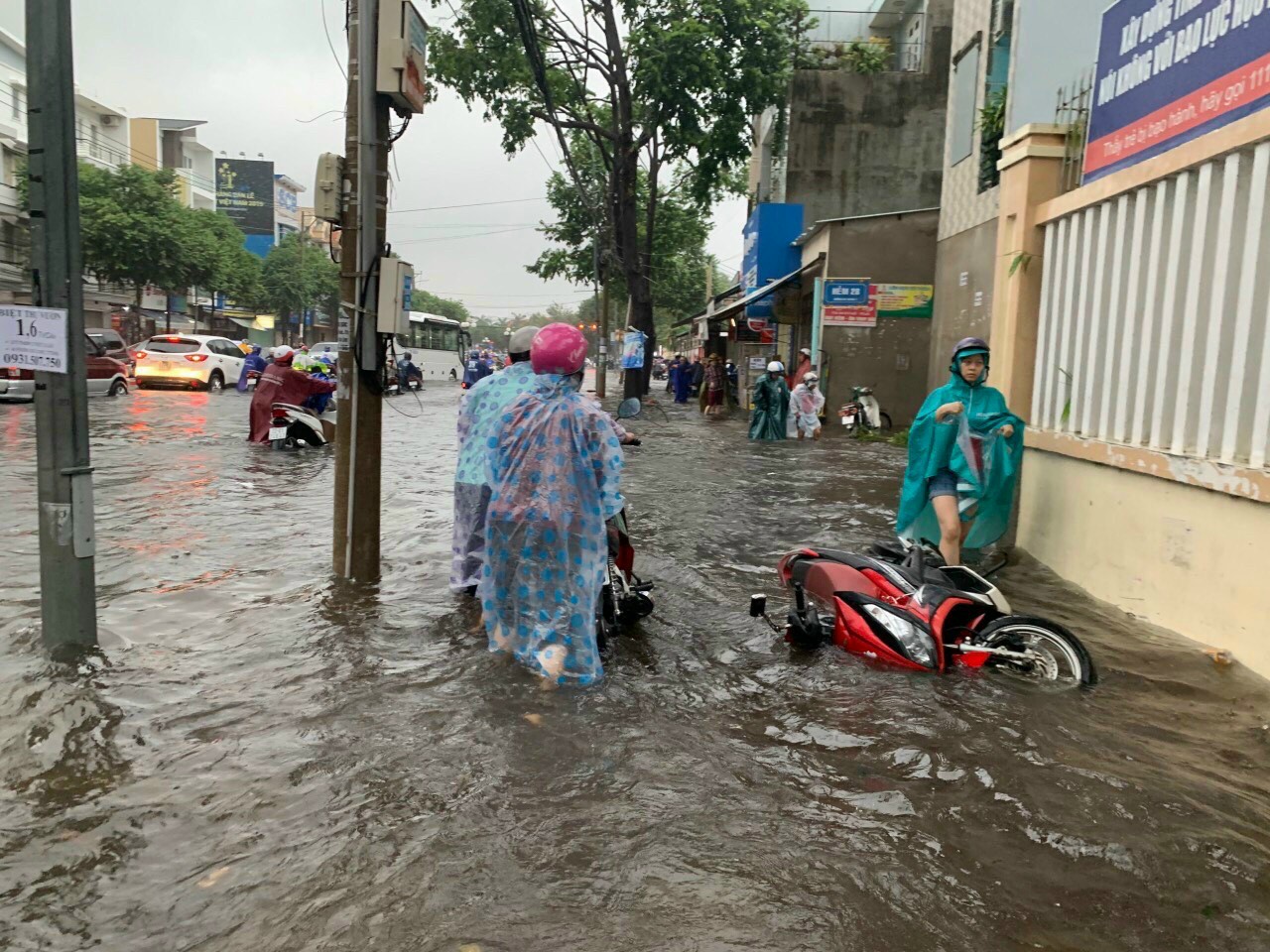 Một người bị ngã xe trước cổng Trường Tiểu học Quang Trung.