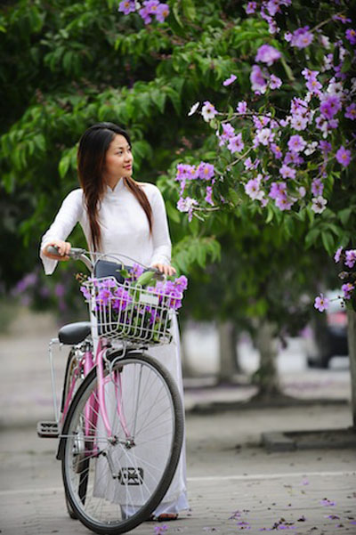 Hoa bằng lăng tím gắn liền với tuổi học trò.