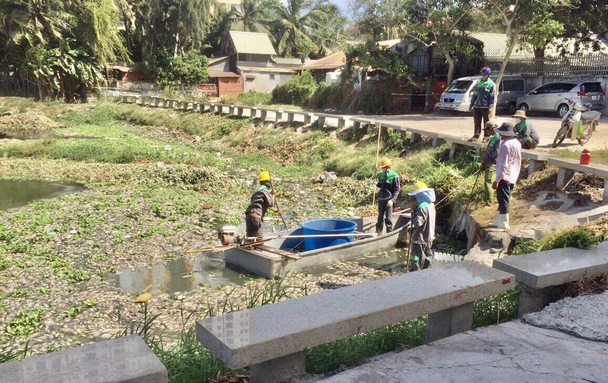 Công nhân Công ty CP Phát triển Công viên cây xanh và đô thị Vũng Tàu thu gom cá chết trên hồ Bàu Sen, tháng 4/2020.
