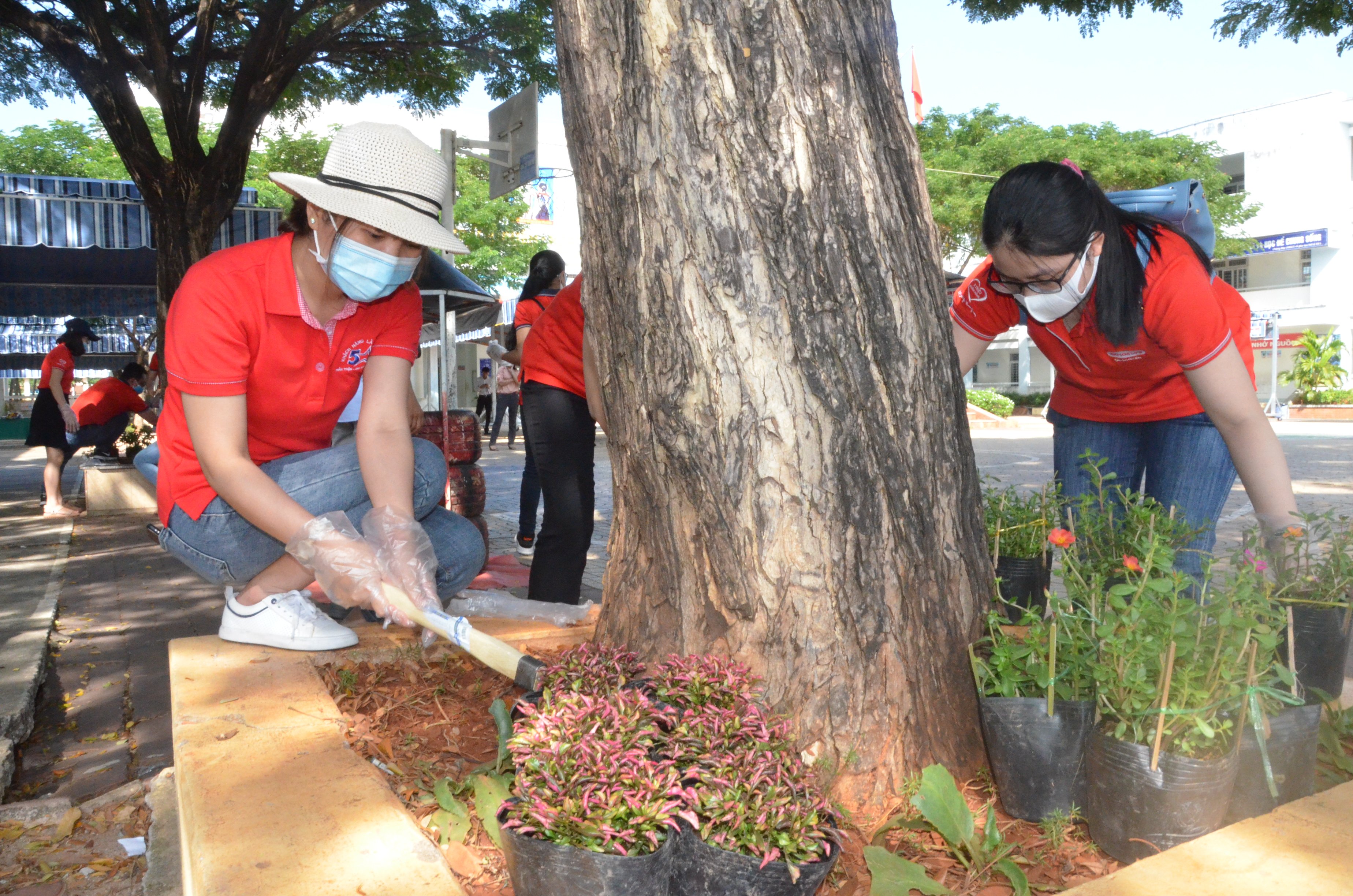 Nhân viên Công ty Dai-ichi Life Việt Nam trồng hoa xung quanh bồn cây tại Trường THCS Nguyễn Du (phường Phước Trung, TP. Bà Rịa).