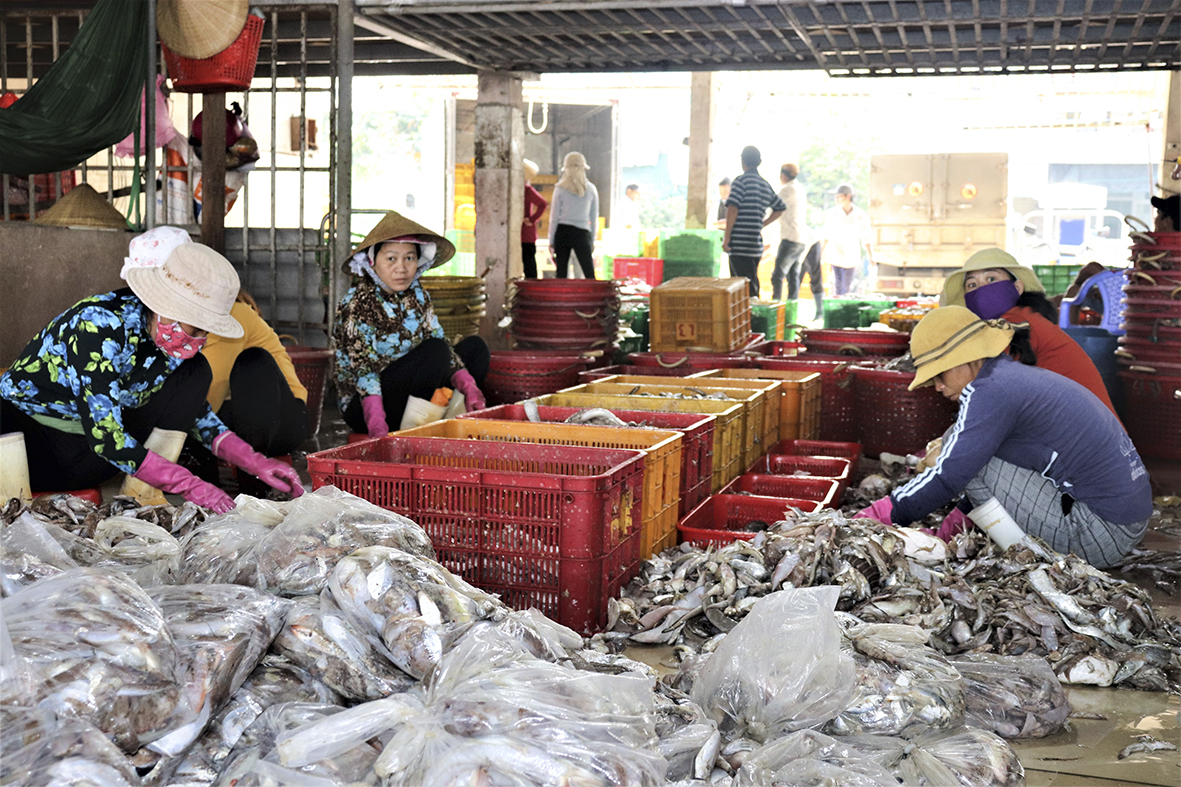HTX Dịch vụ - Khai thác thủy sản Quyết Thắng (xã Phước Tỉnh) có doanh thu mỗi năm hơn 1 tỷ đồng.