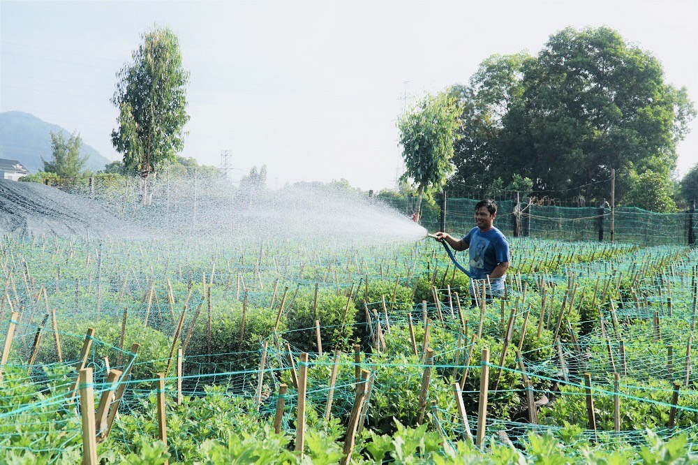 Ông Nguyễn Chí Hiếu (phường Kim Dinh, TP. Bà Rịa) chăm sóc vườn hoa.