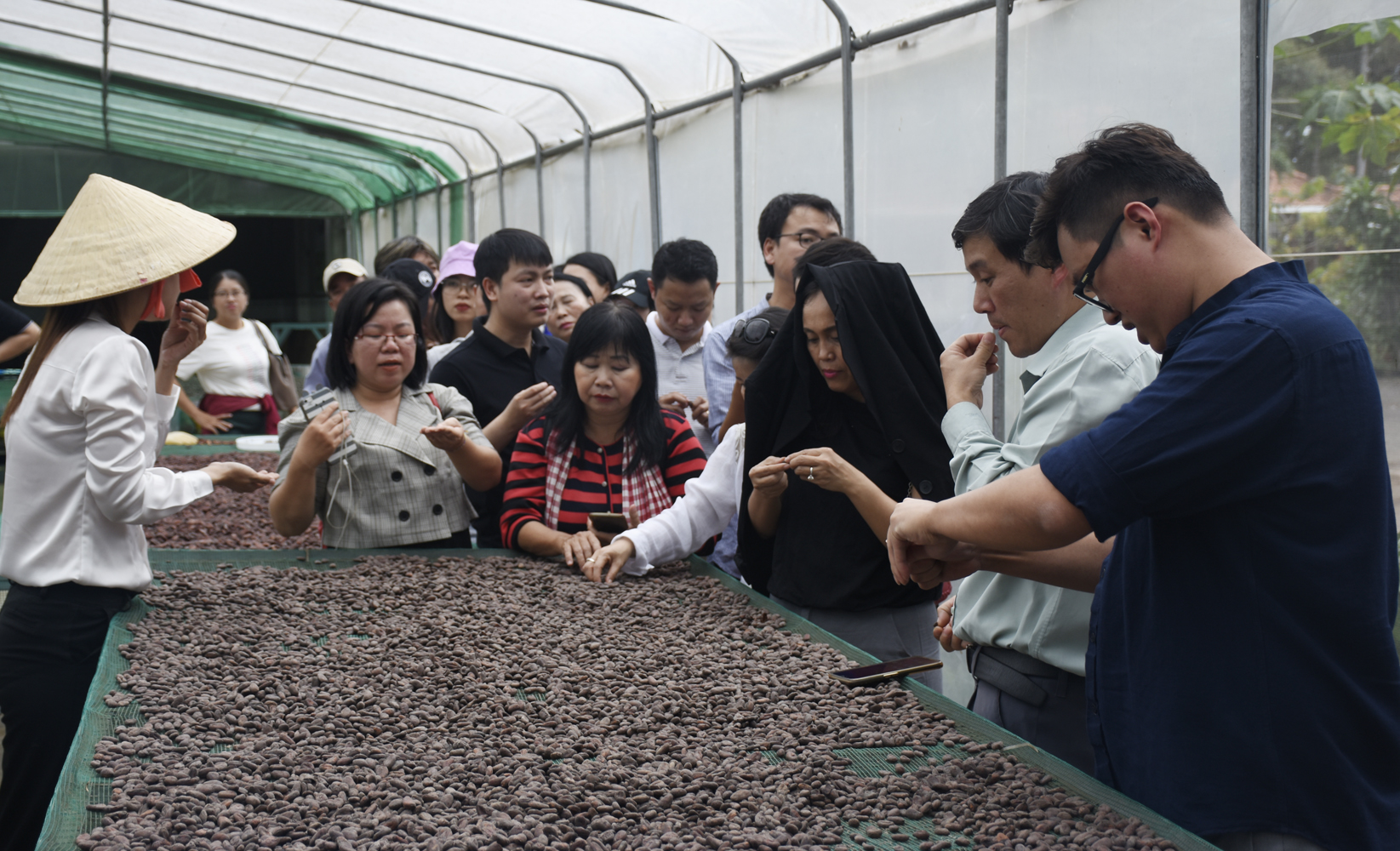 Du khách tham quan khu phơi ca cao tại công viên Binon Cacao  (xã Xà Bang, huyện Châu Đức). 