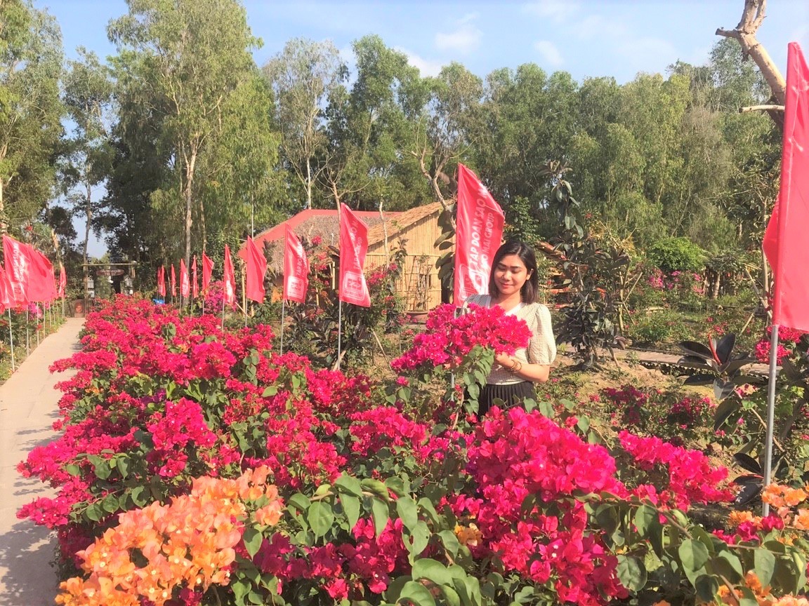 Sắc hoa rạng rỡ đón xuân Trà Sư