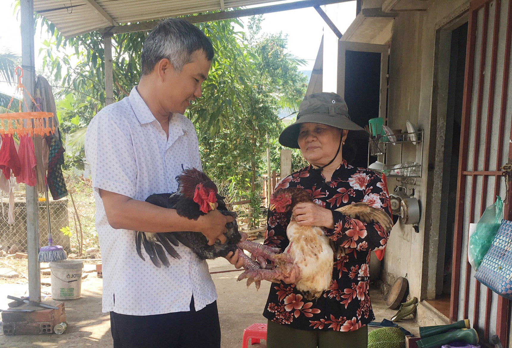Khách hàng chọn gà Đông Tảo tại trại gà của gia đình ông Lê Văn Áng (phải, thôn Suối Tiên, xã Châu Pha,  TX. Phú Mỹ).
