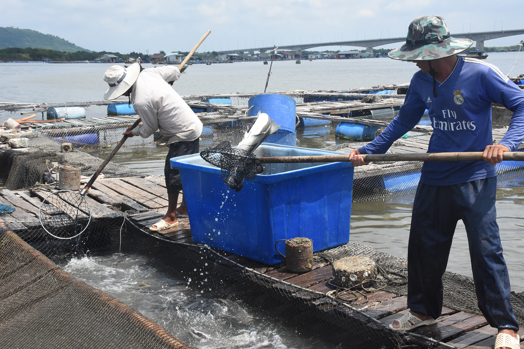Từ ngày 15/3 tới đây, các bè nuôi thủy sản trên sông bắt buộc phải lắp đặt báo hiệu đường thủy. Trong ảnh: Nuôi cá lồng bè trên sông Chà Và.
