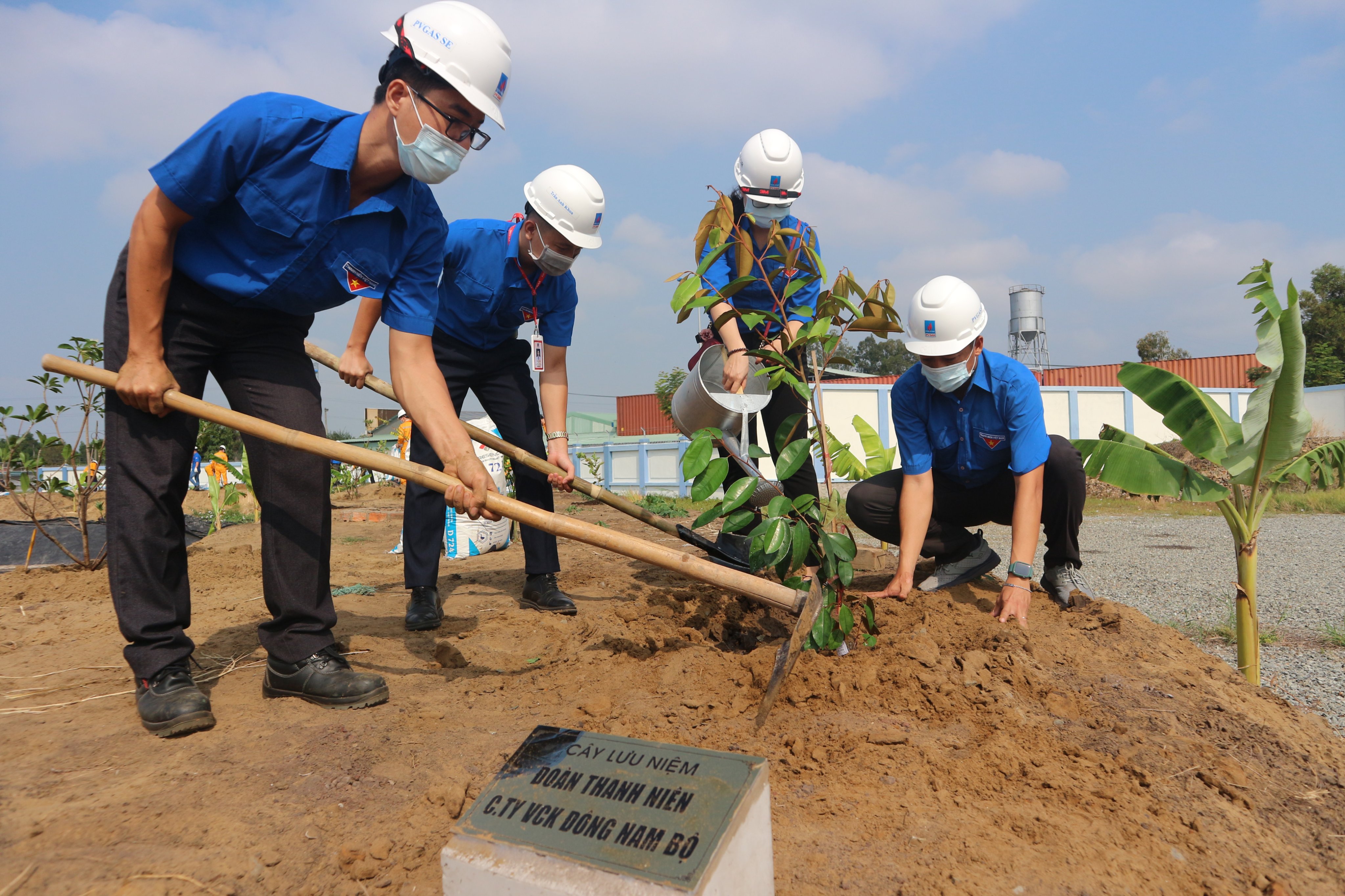Đoàn viên thanh niên Công ty Vận chuyển Khí Đông Nam Bộ trồng cây xanh tại Trạm Phân phối khí Bà Rịa