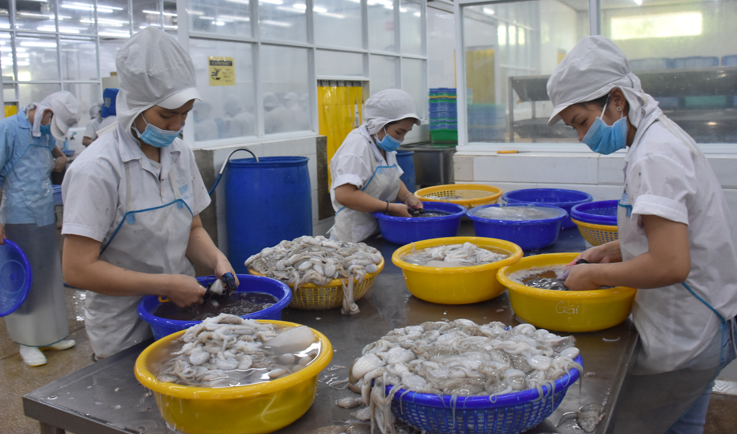 Sản xuất chế biến thủy sản xuất khẩu tại Công ty TNHH Hải Phú  (huyện Long Điền).
